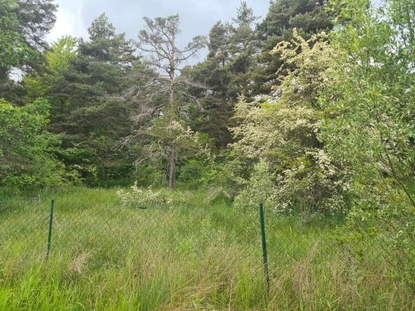 À vendre terrain de 1896 m² à Andon, secteur Tauran, environnement naturel et calme
