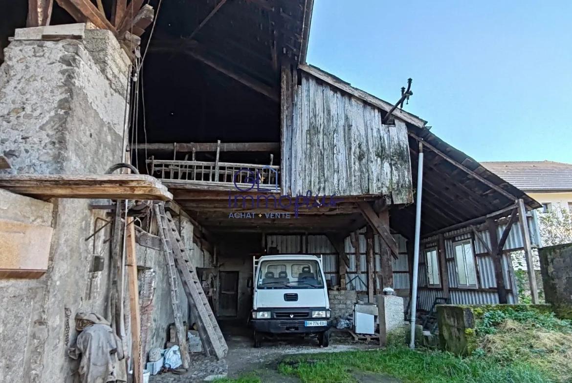 Grange à rénover à Gilly-sur-Isère - Projet immobilier ou résidentiel 