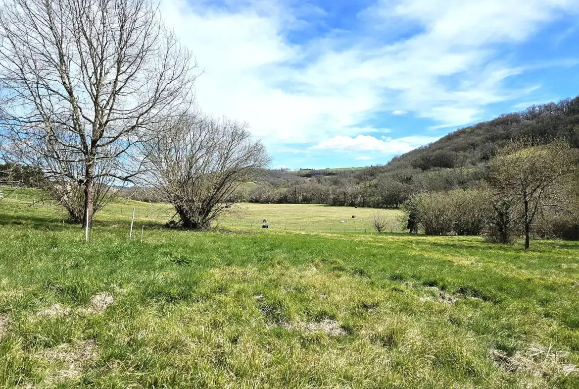 Maison à rénover de 72 m² avec grand terrain à Lusignan-Petit (47) 