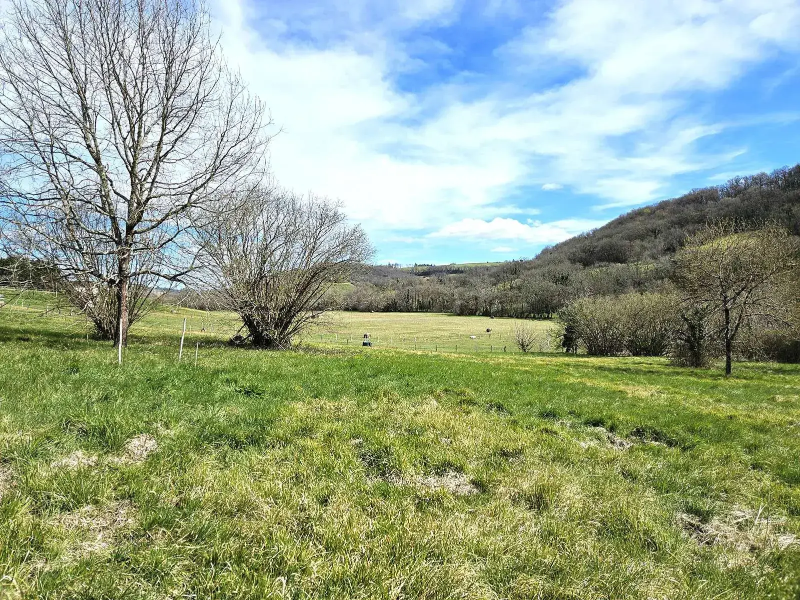 Maison à rénover de 72 m² avec grand terrain à Lusignan-Petit (47) 