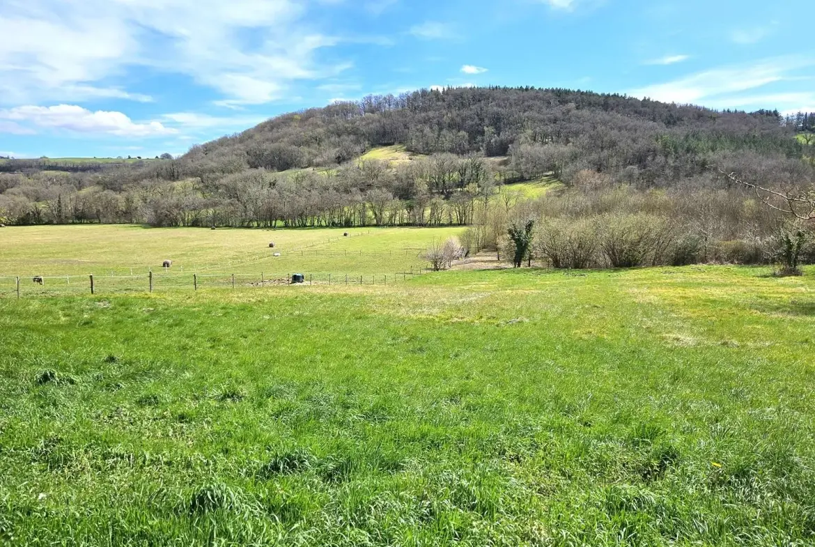 Maison à rénover de 72 m² avec grand terrain à Lusignan-Petit (47) 