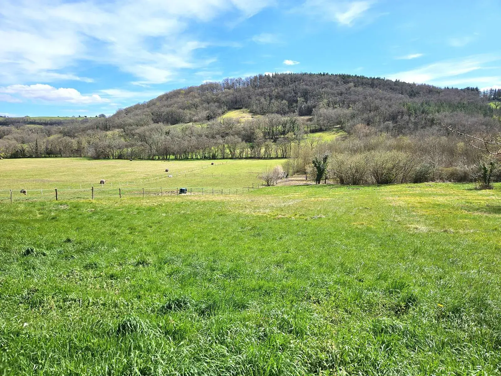 Maison à rénover de 72 m² avec grand terrain à Lusignan-Petit (47) 