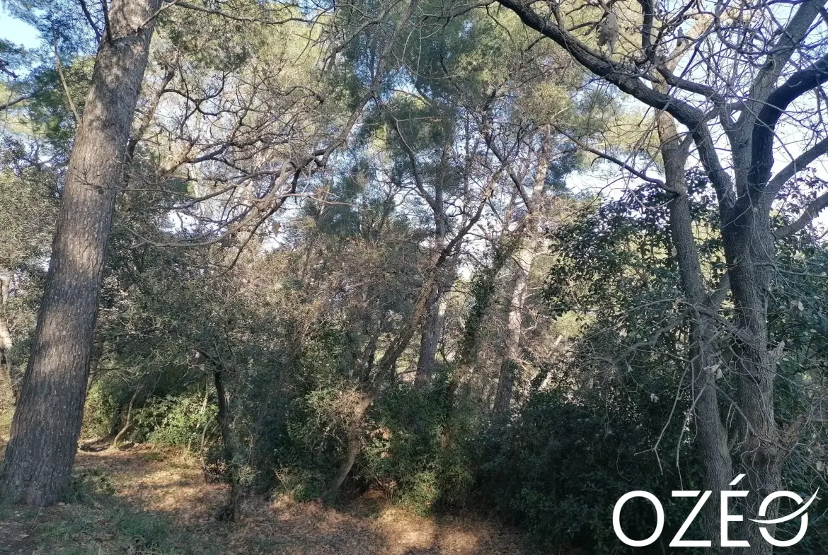 Terrain non constructible de 1880 m² en zone naturelle à Six Fours Les Plages 