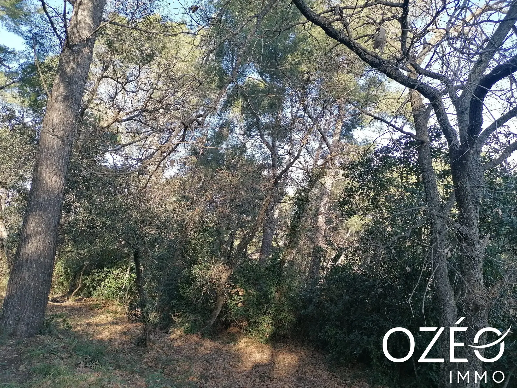 Terrain non constructible de 1880 m² en zone naturelle à Six Fours Les Plages 