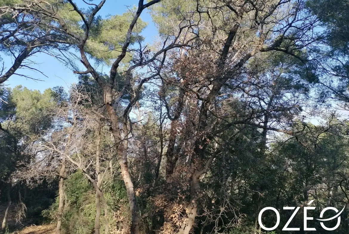 Terrain non constructible de 1880 m² en zone naturelle à Six Fours Les Plages 