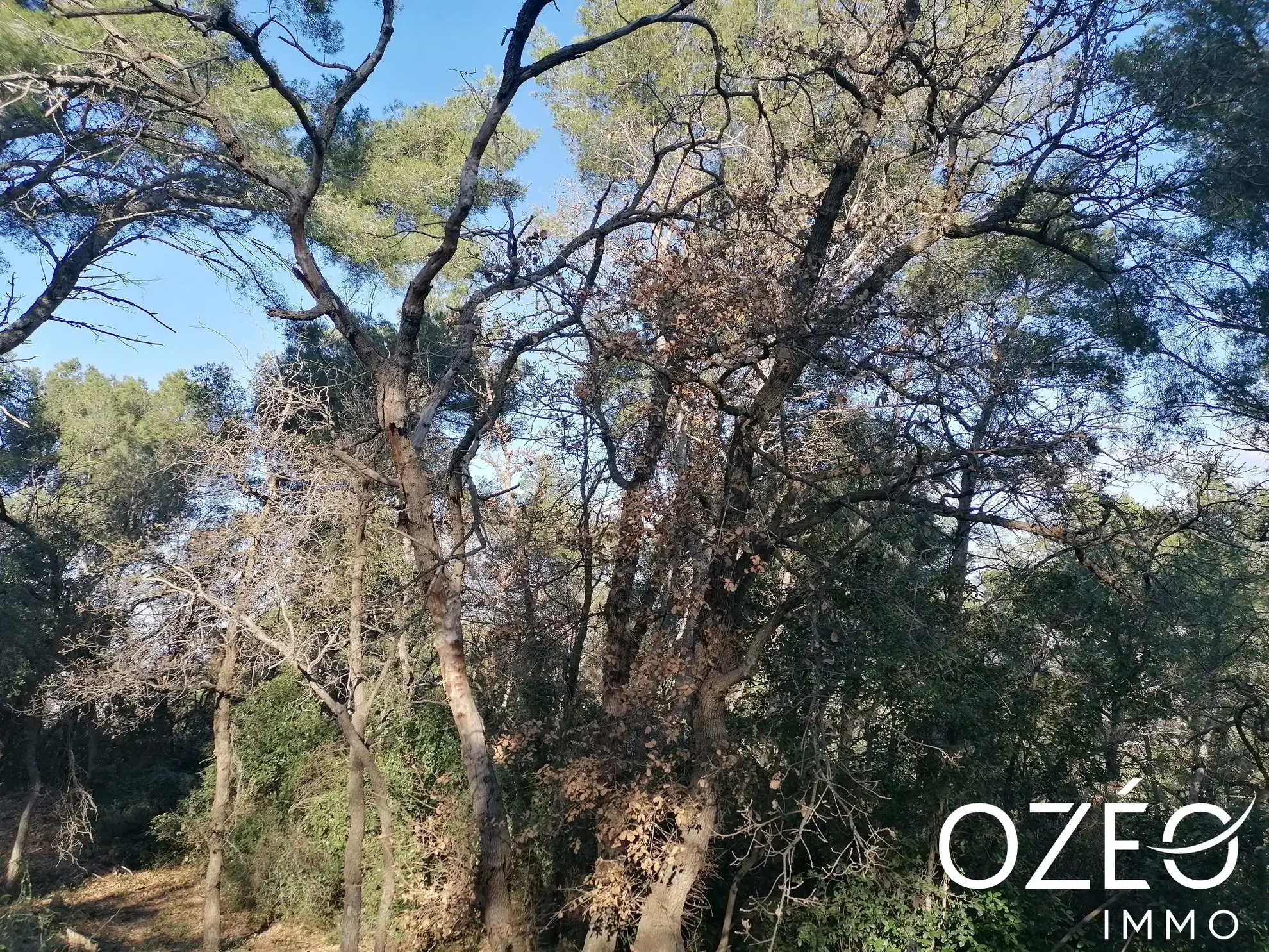 Terrain non constructible de 1880 m² en zone naturelle à Six Fours Les Plages 
