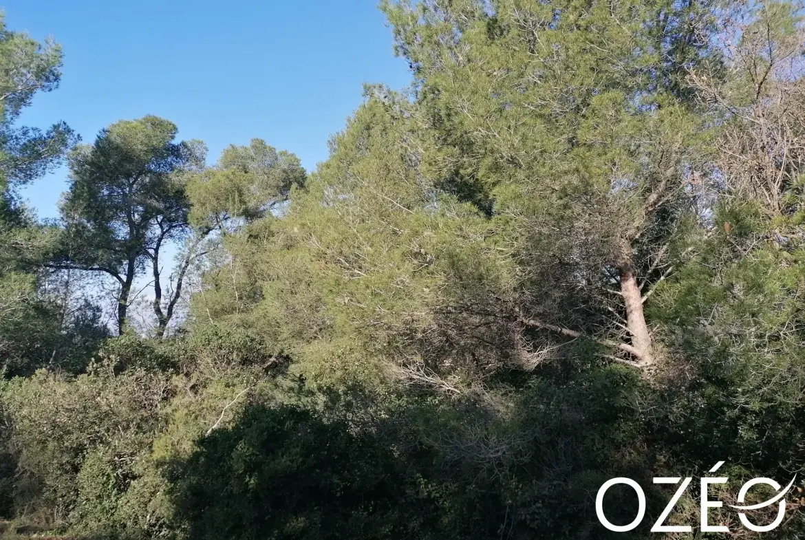 Terrain non constructible de 1880 m² en zone naturelle à Six Fours Les Plages 