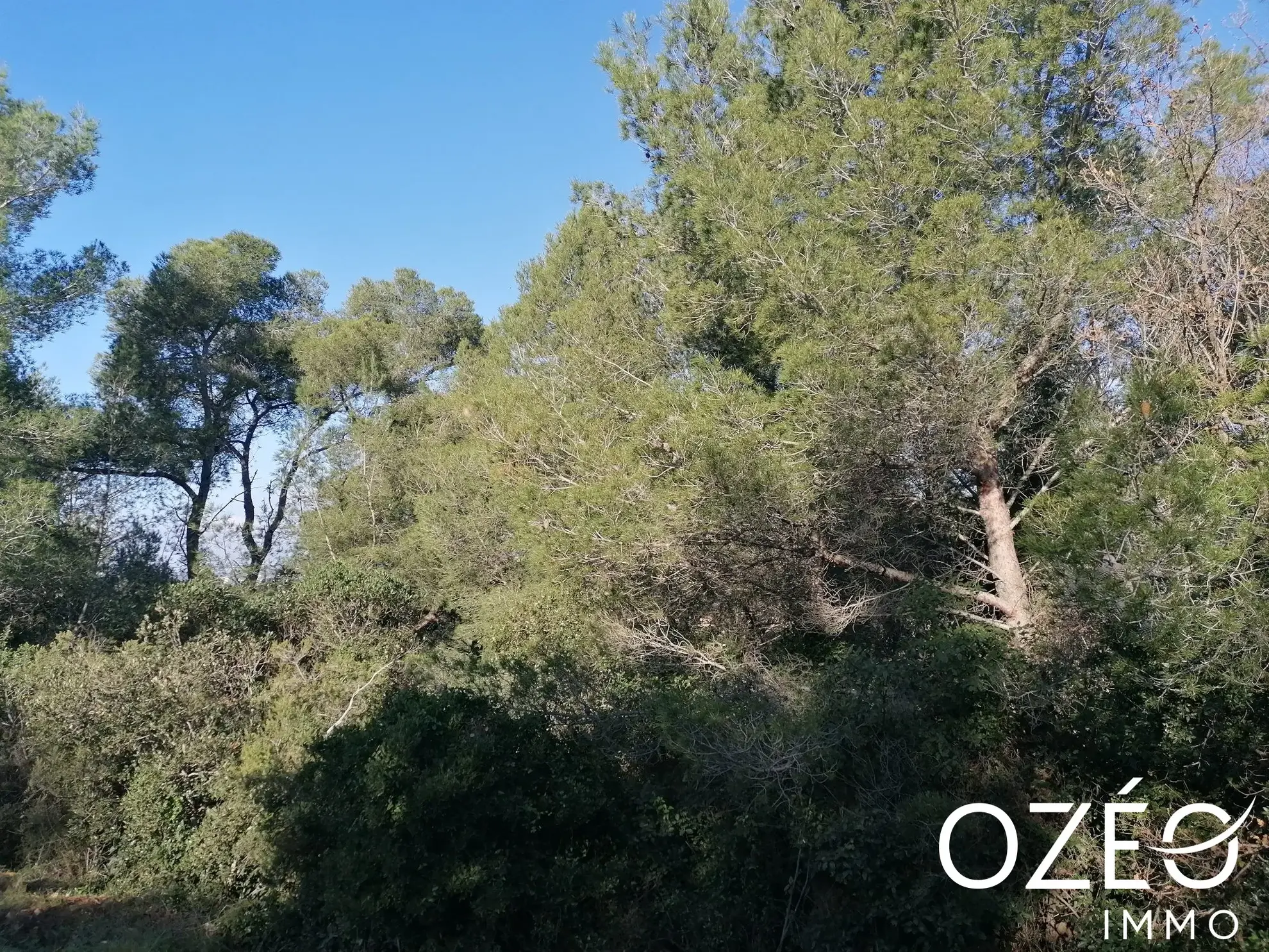 Terrain non constructible de 1880 m² en zone naturelle à Six Fours Les Plages 