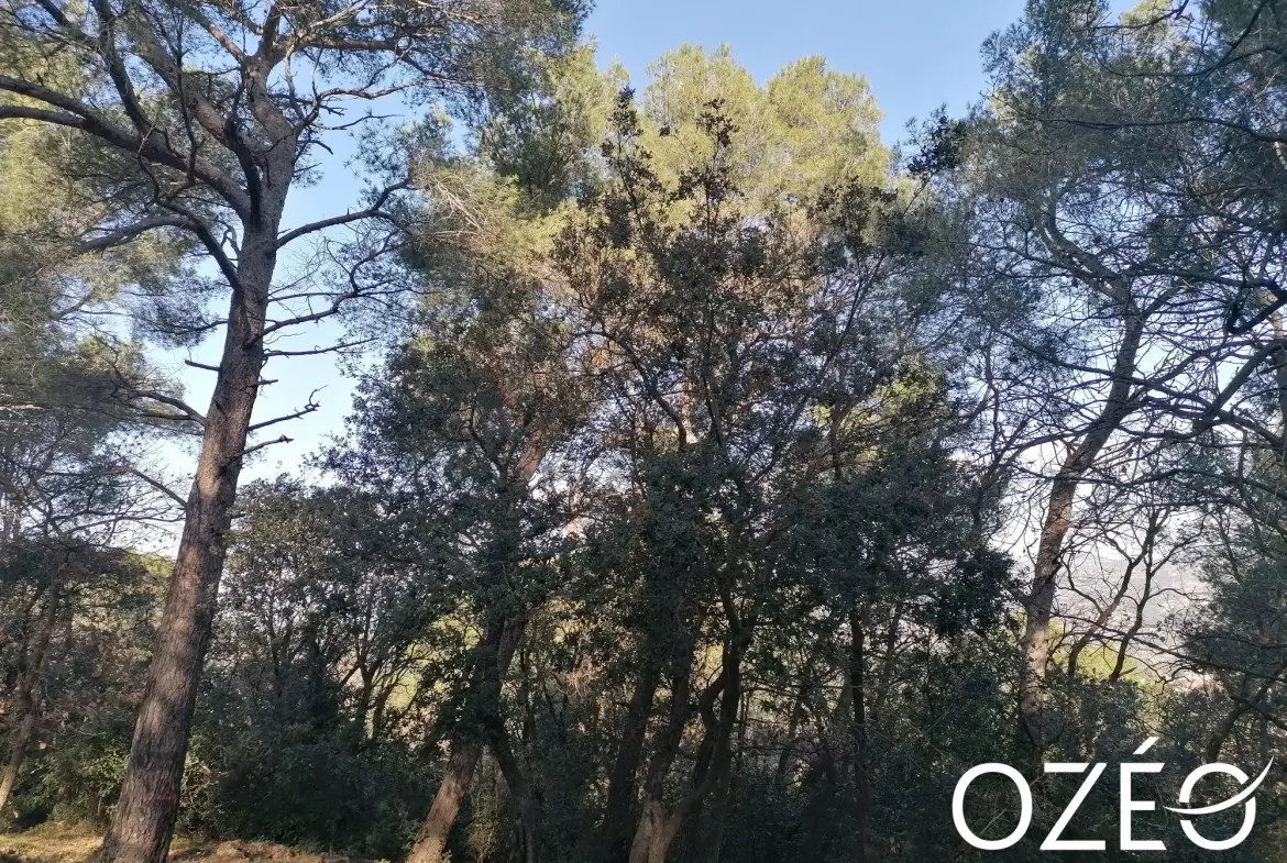 Terrain non constructible de 1880 m² en zone naturelle à Six Fours Les Plages 
