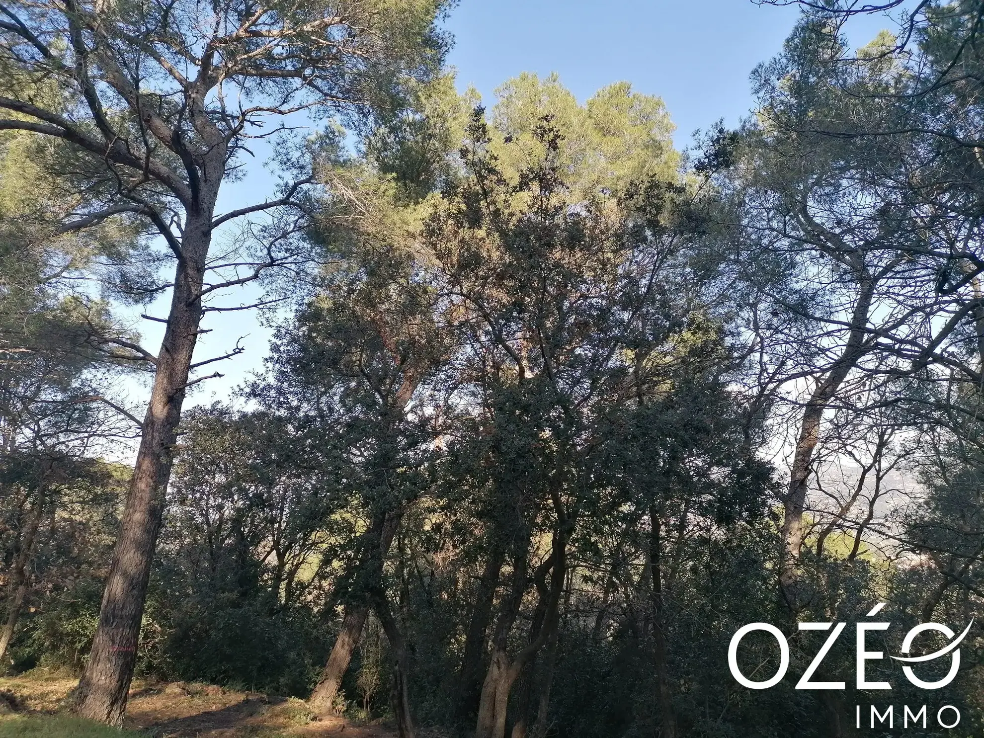 Terrain non constructible de 1880 m² en zone naturelle à Six Fours Les Plages 
