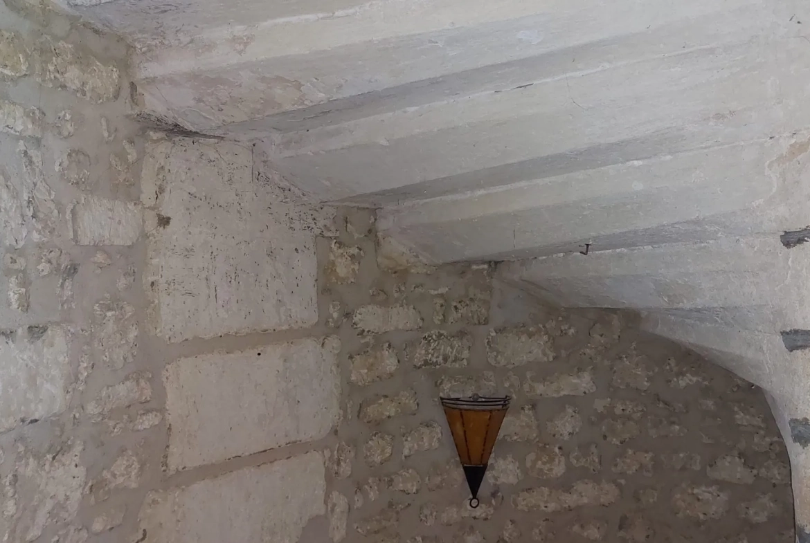 Maison en pierre avec jardinet à Saint-Savinien – Résidence secondaire prête à vivre 