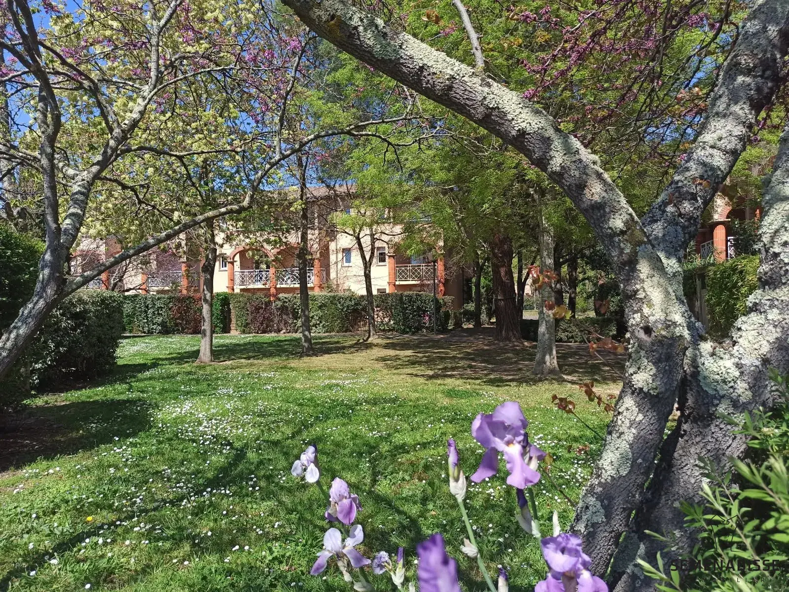 T1 lumineux avec jardin privatif à Toulouse secteur Météo France 