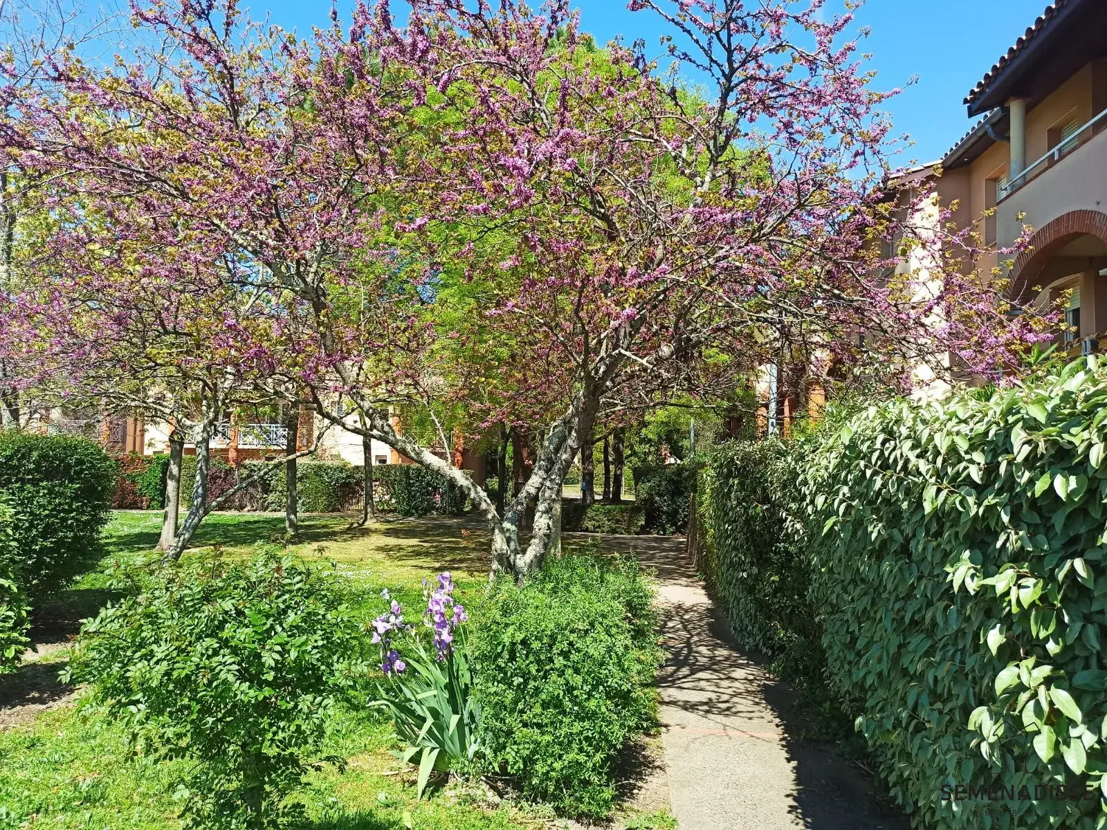 T1 lumineux avec jardin privatif à Toulouse secteur Météo France 