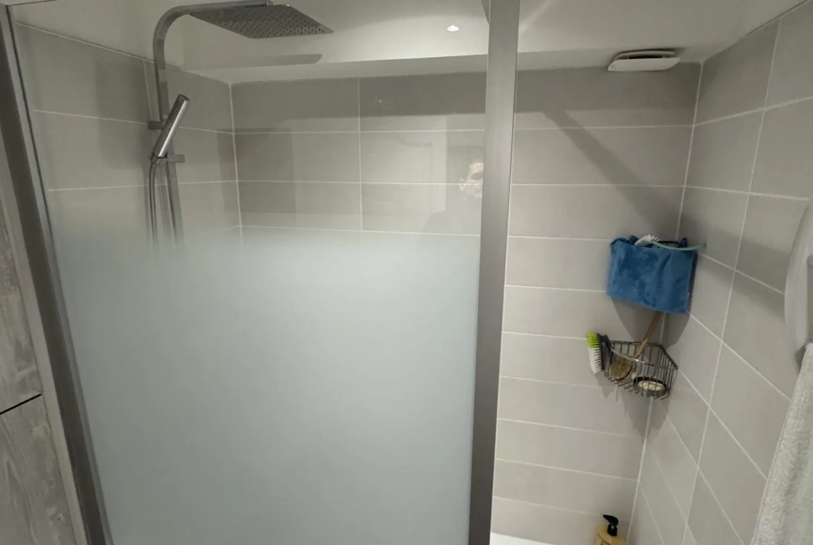 Appartement T4 rénové à Nancy, proche de la Place Stanislas avec garage, faible consommation énergique 
