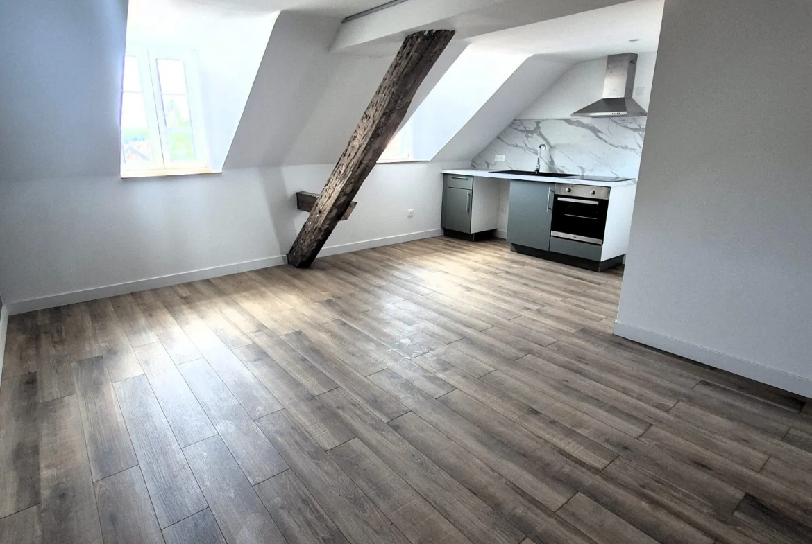 pièce vie avec cachet Appartement T2 rénové avec cave et parking à Sarreguemines - 41,18 m² 