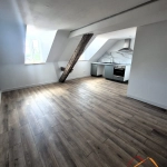 pièce vie avec cachet Appartement T2 rénové avec cave et parking à Sarreguemines - 41,18 m²
