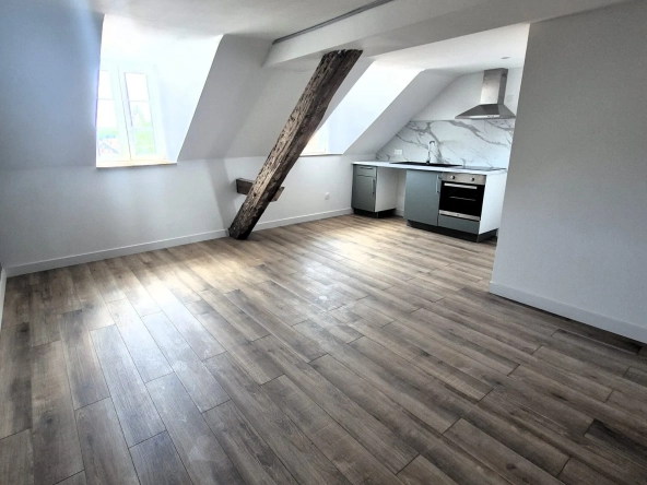 pièce vie avec cachet Appartement T2 rénové avec cave et parking à Sarreguemines - 41,18 m²