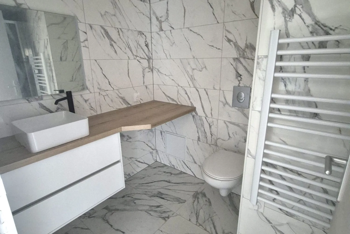 SDB Appartement T2 rénové avec cave et parking à Sarreguemines - 41,18 m² 