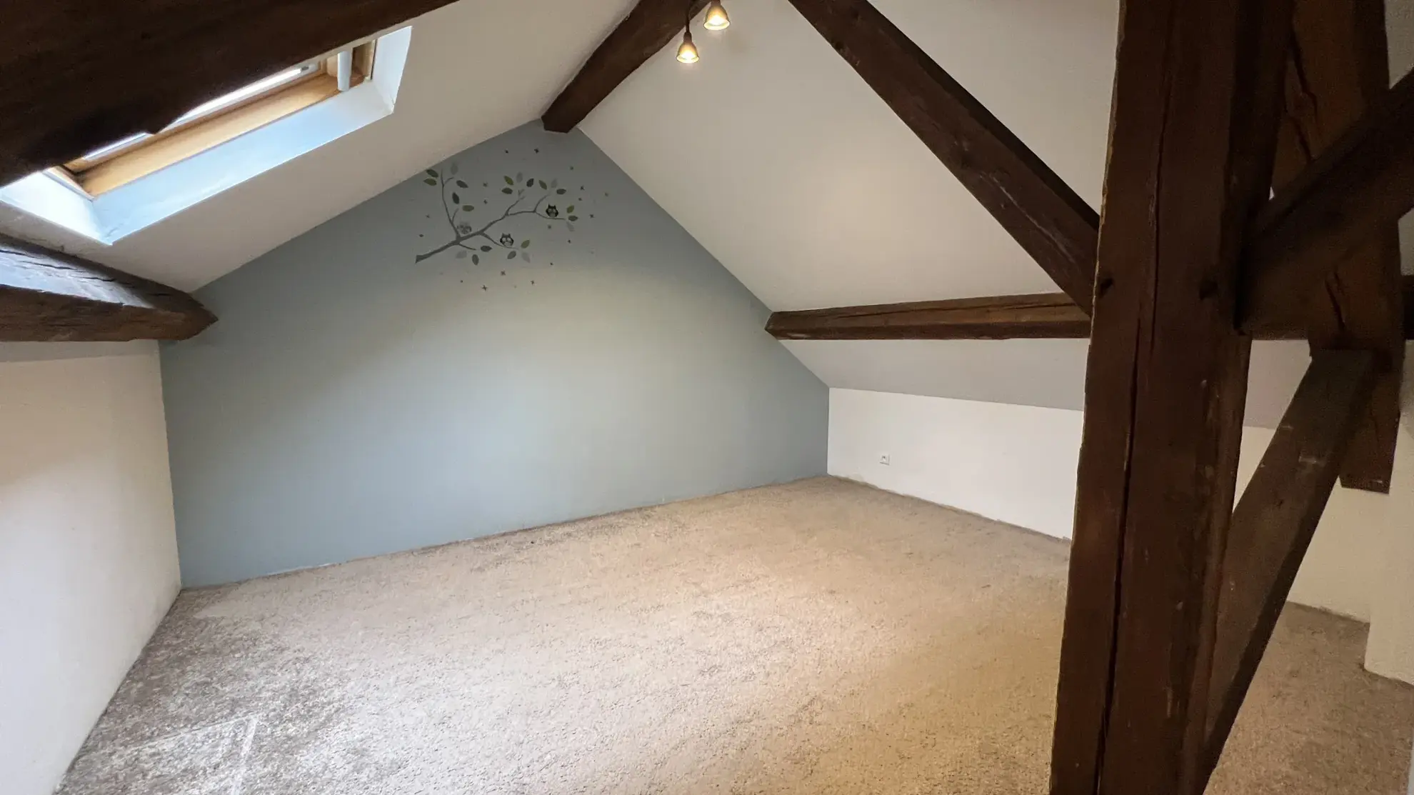 Appartement de caractère avec vue exceptionnelle à Avallon (89) 