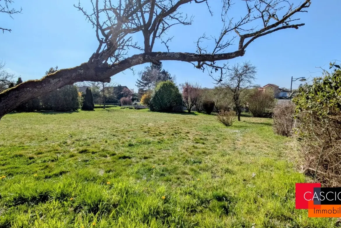 Terrain à Louvigny de 6,81 ares, hors lotissement, libre constructeur 