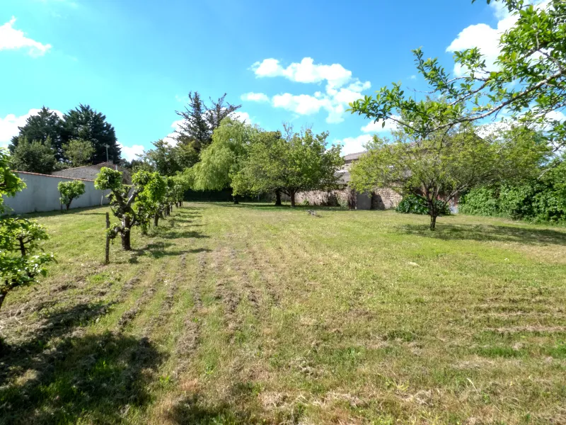 Grande grange à réhabiliter sur terrain de 2971 m² à Saint-Vincent-sur-Graon 