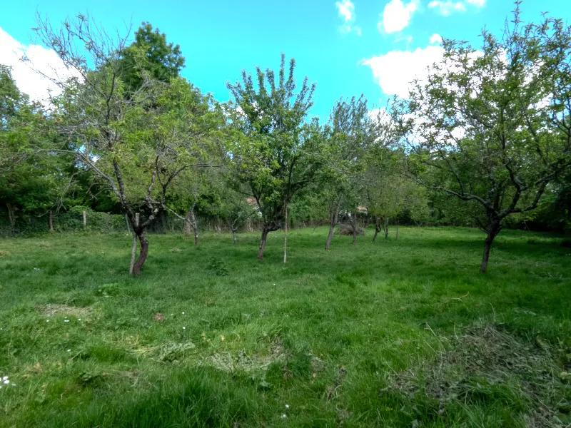 Grande grange à réhabiliter sur terrain de 2971 m² à Saint-Vincent-sur-Graon 