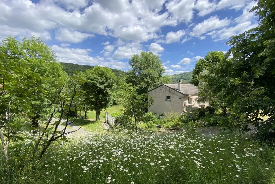 Maison à vendre à Trébas avec grande terrasse et terrain de 3000 m² 