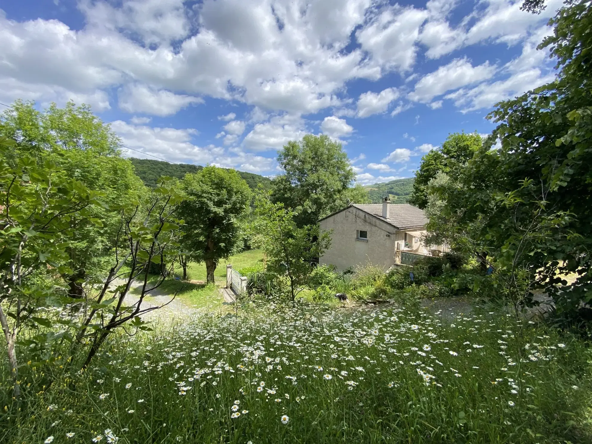Maison à vendre à Trébas avec grande terrasse et terrain de 3000 m² 