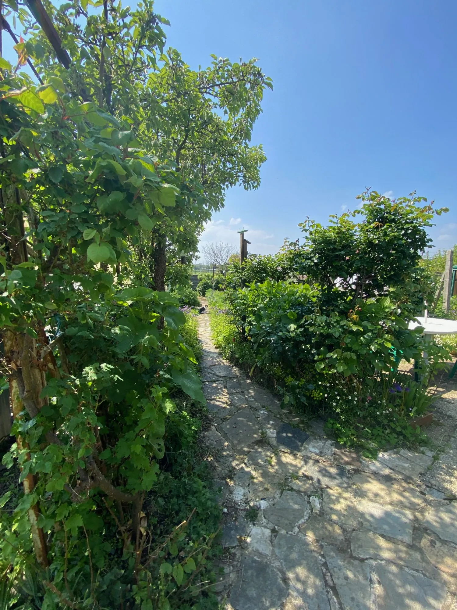 Maison en pierre avec jardin clos et potentiel de rénovation à Plouec-du-Trieux 