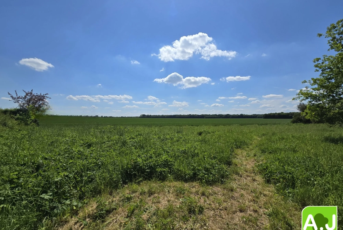 Terrain à bâtir de 1558 m² à Ezy-sur-Eure – Vue campagne, calme et ensoleillé 