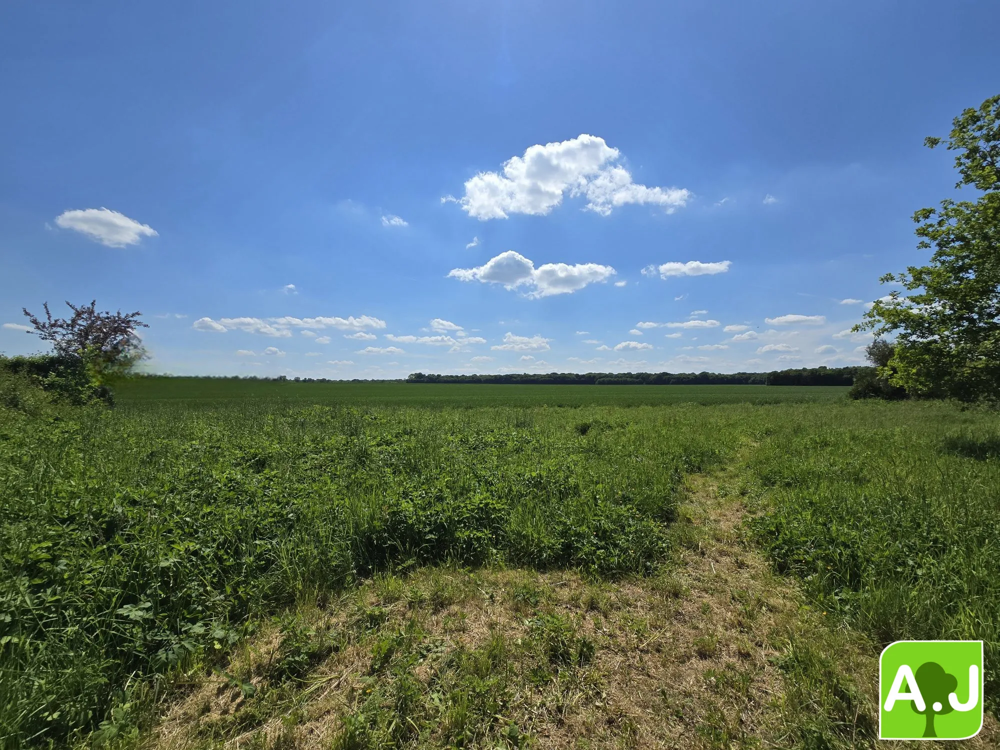 Terrain à bâtir de 1558 m² à Ezy-sur-Eure – Vue campagne, calme et ensoleillé 