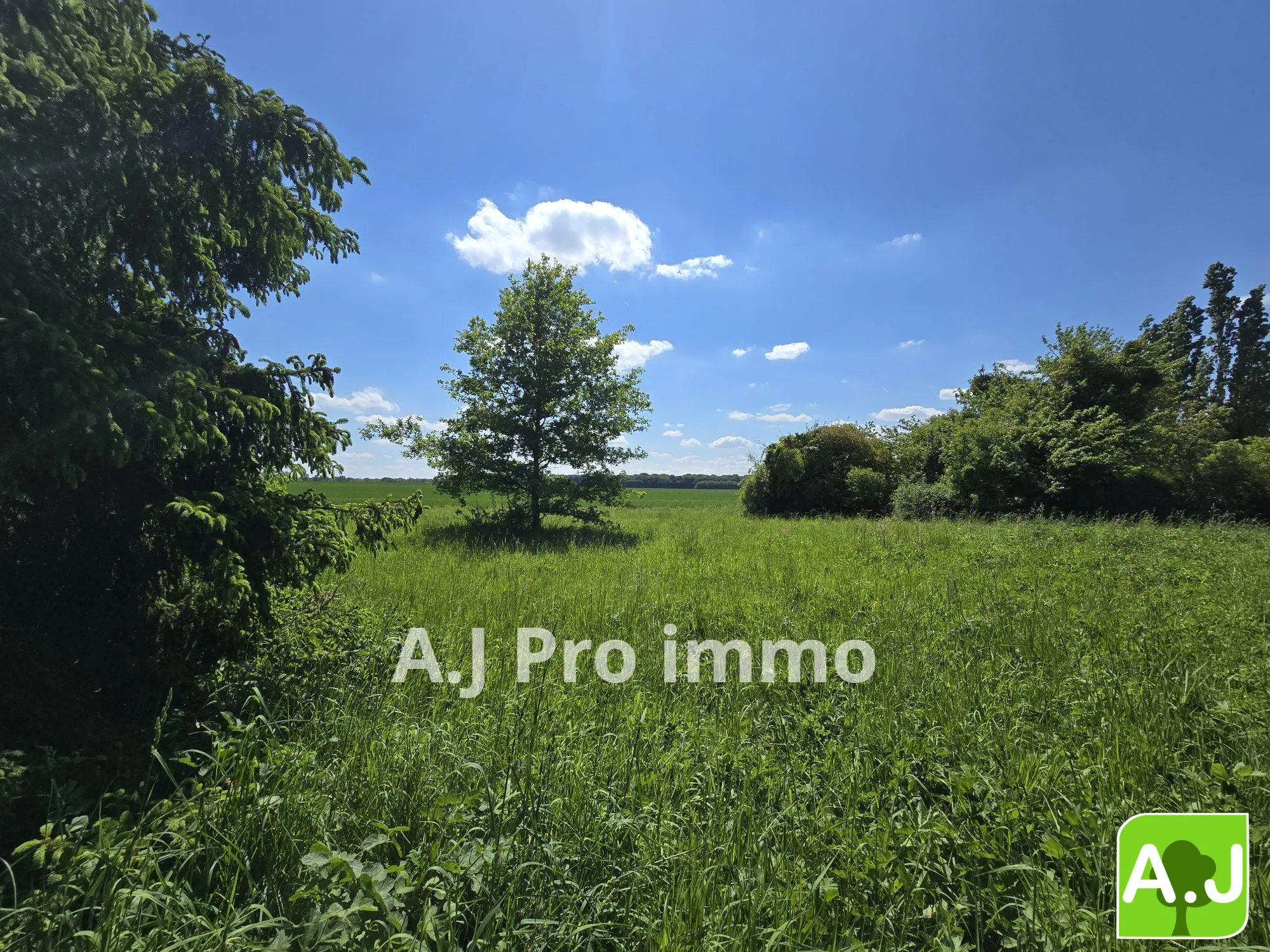 Terrain à bâtir de 1558 m² à Ezy-sur-Eure – Vue campagne, calme et ensoleillé 