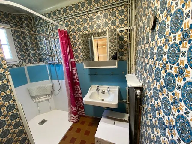 Maison à vendre à Saint-Cosme-en-Vairais avec 4 chambres, jardin et dépendances 
