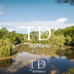 À vendre étang boisé de plus d'1 hectare à Cosne-sur-Loire