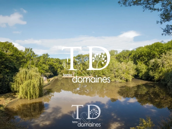À vendre étang boisé de plus d'1 hectare à Cosne-sur-Loire