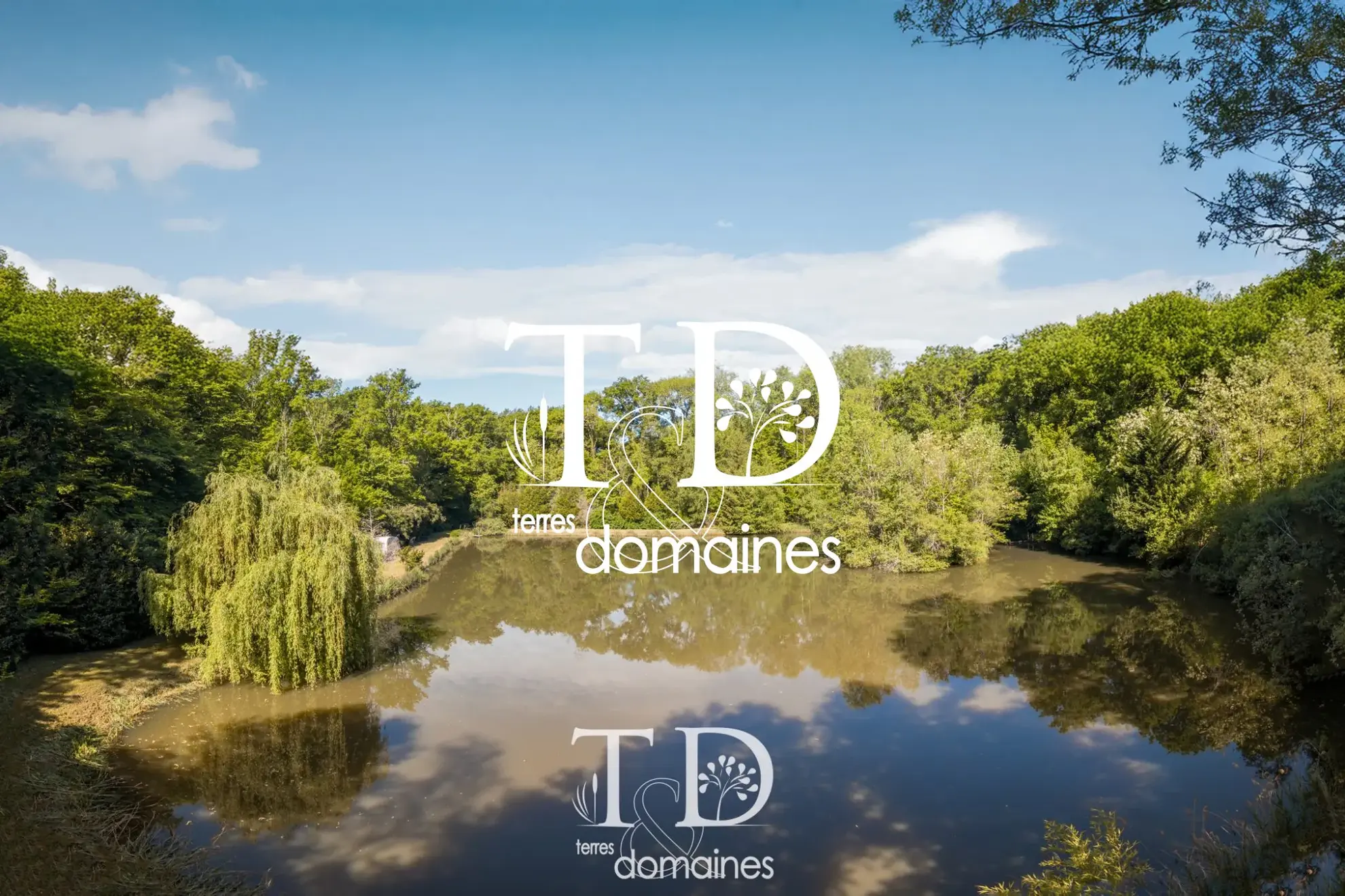 À vendre étang boisé de plus d'1 hectare à Cosne-sur-Loire 