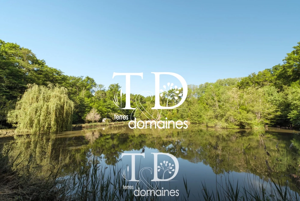À vendre étang boisé de plus d'1 hectare à Cosne-sur-Loire 