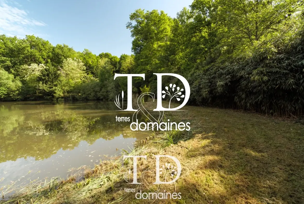À vendre étang boisé de plus d'1 hectare à Cosne-sur-Loire 