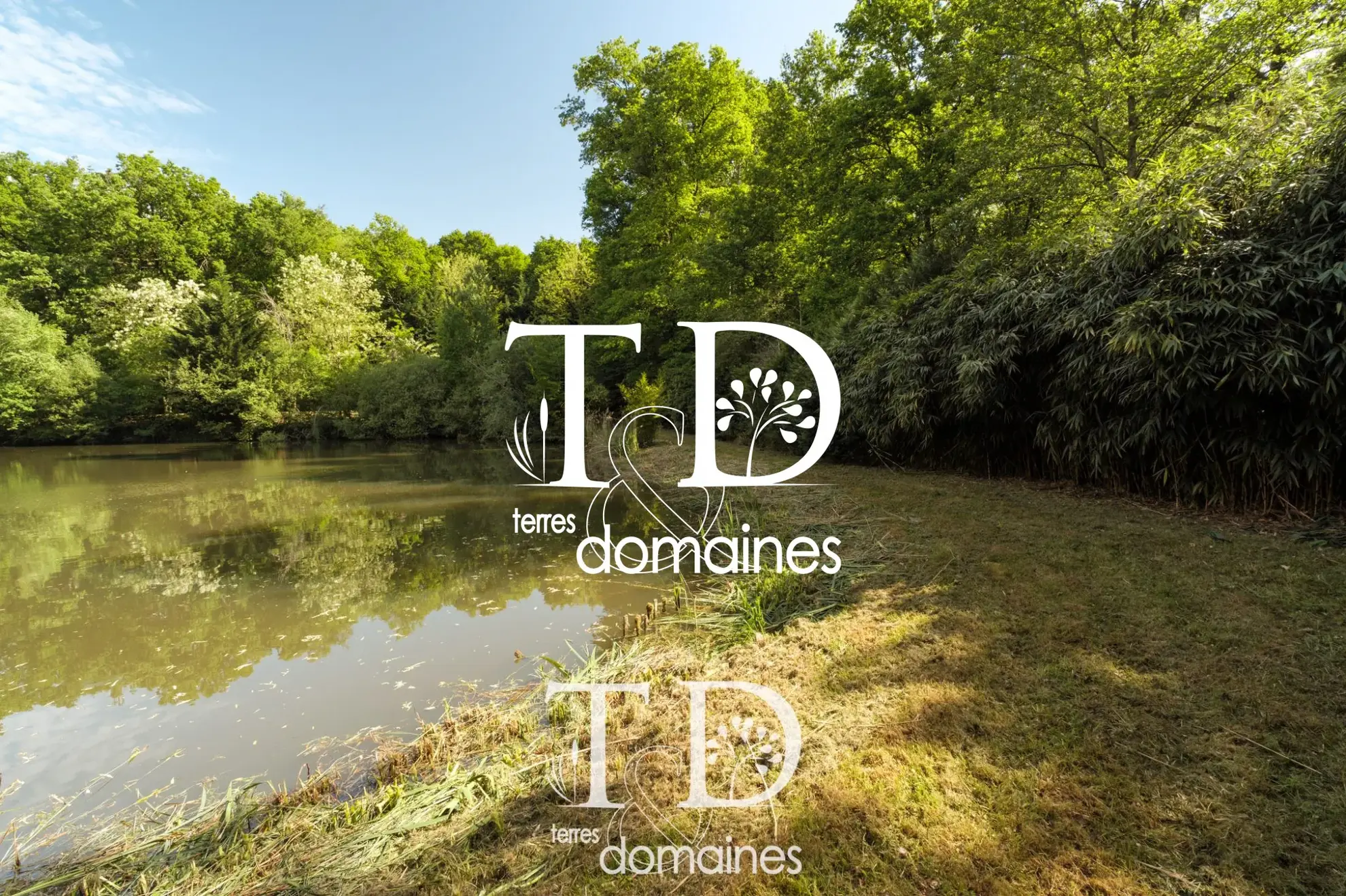 À vendre étang boisé de plus d'1 hectare à Cosne-sur-Loire 