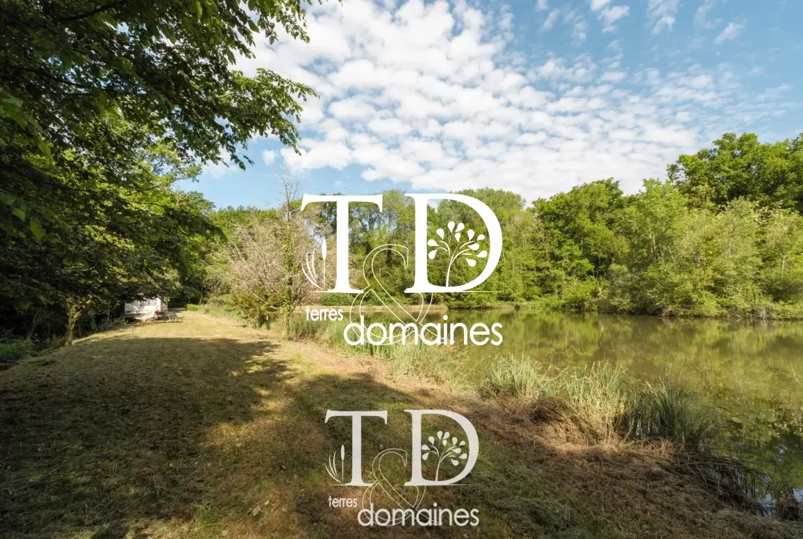 À vendre étang boisé de plus d'1 hectare à Cosne-sur-Loire 