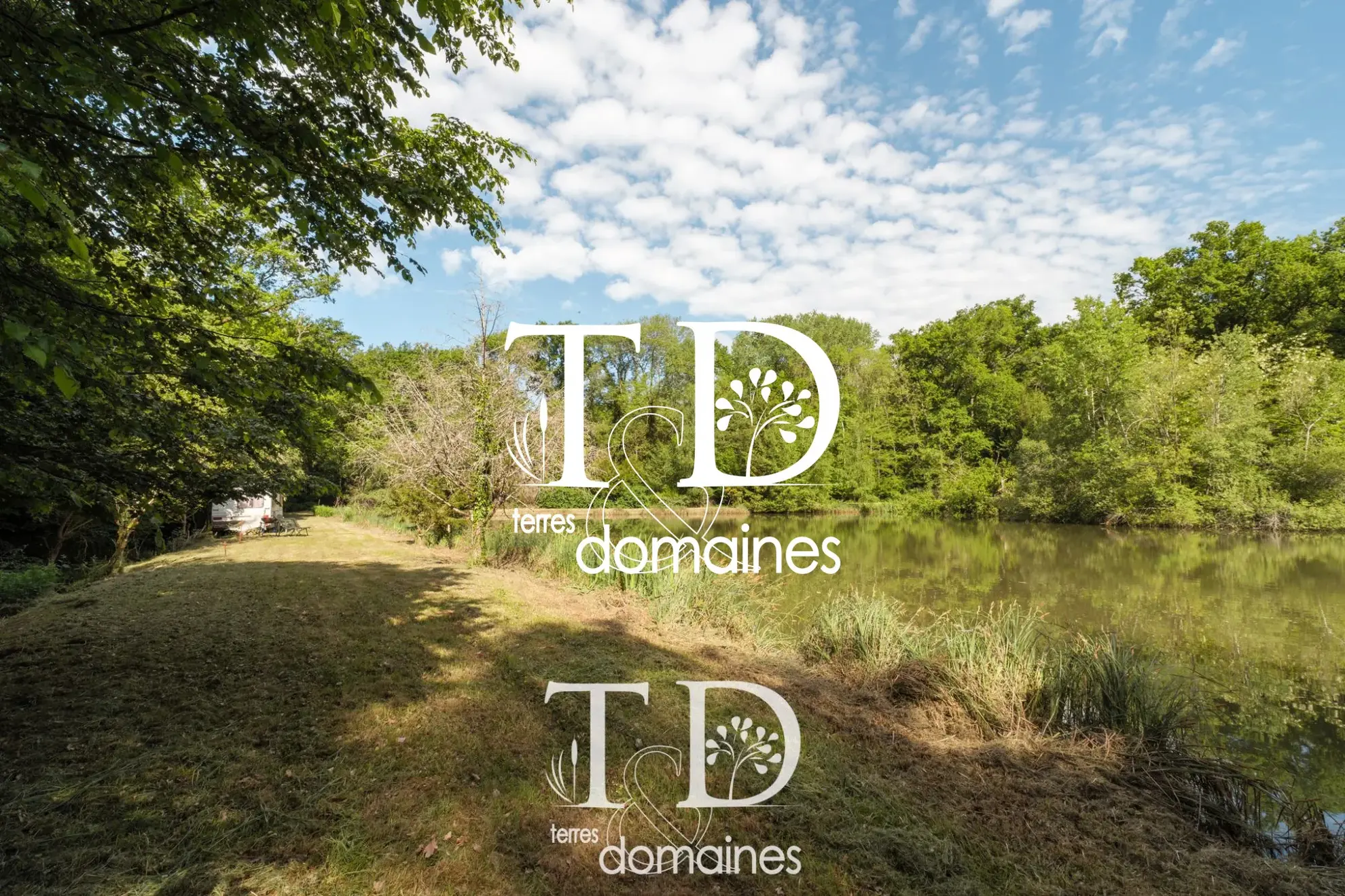 À vendre étang boisé de plus d'1 hectare à Cosne-sur-Loire 