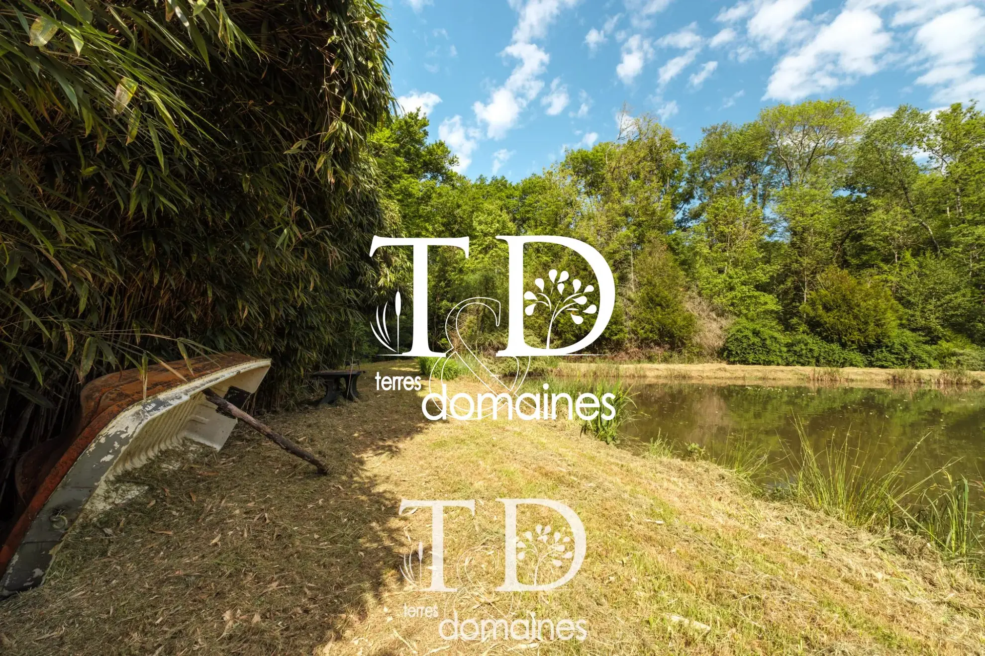À vendre étang boisé de plus d'1 hectare à Cosne-sur-Loire 