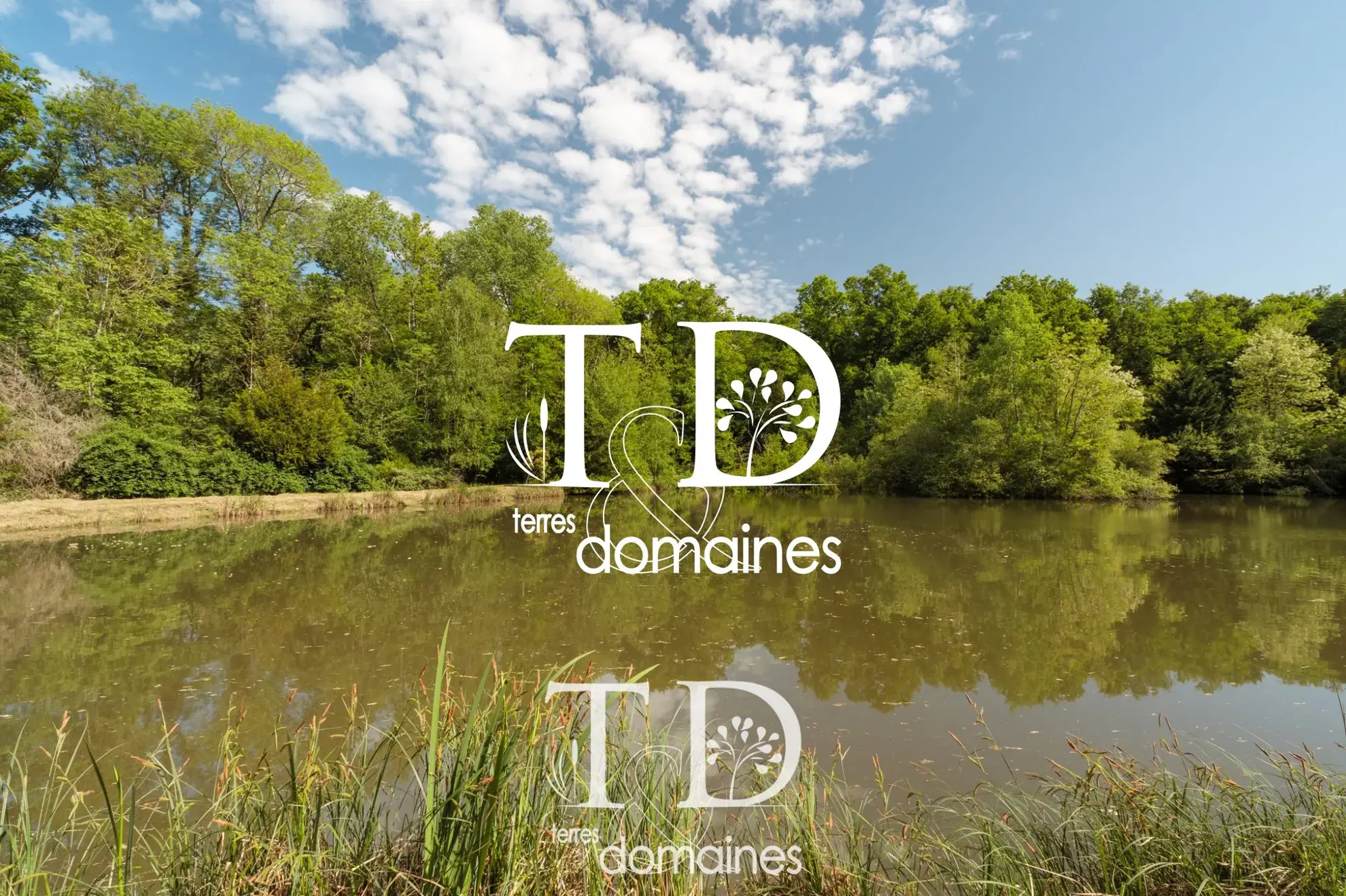 À vendre étang boisé de plus d'1 hectare à Cosne-sur-Loire 