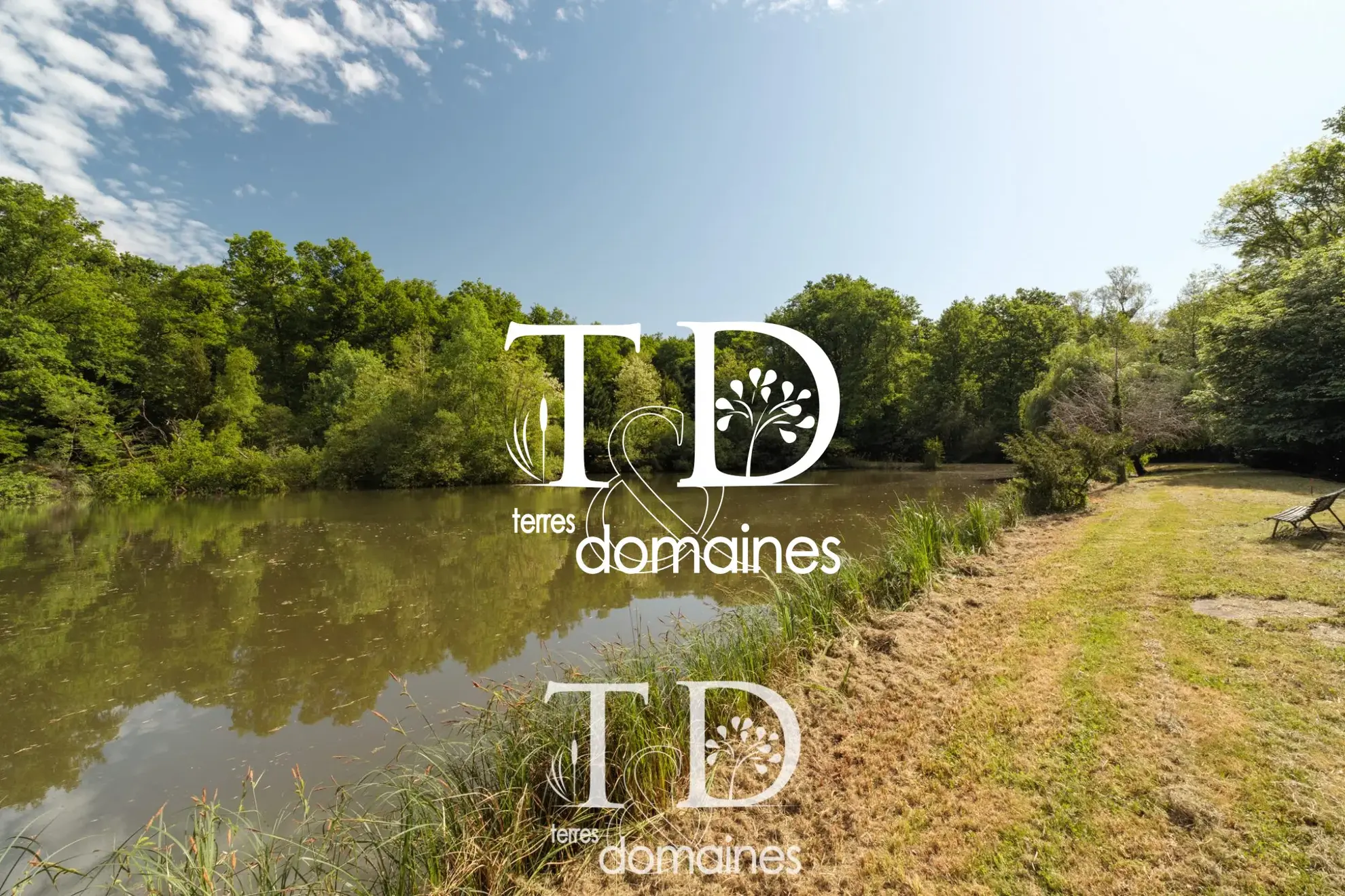 À vendre étang boisé de plus d'1 hectare à Cosne-sur-Loire 
