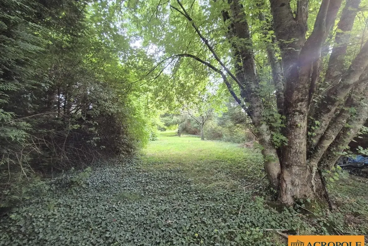 Charmante maison de 120 m² à Oizon avec grand terrain arboré 
