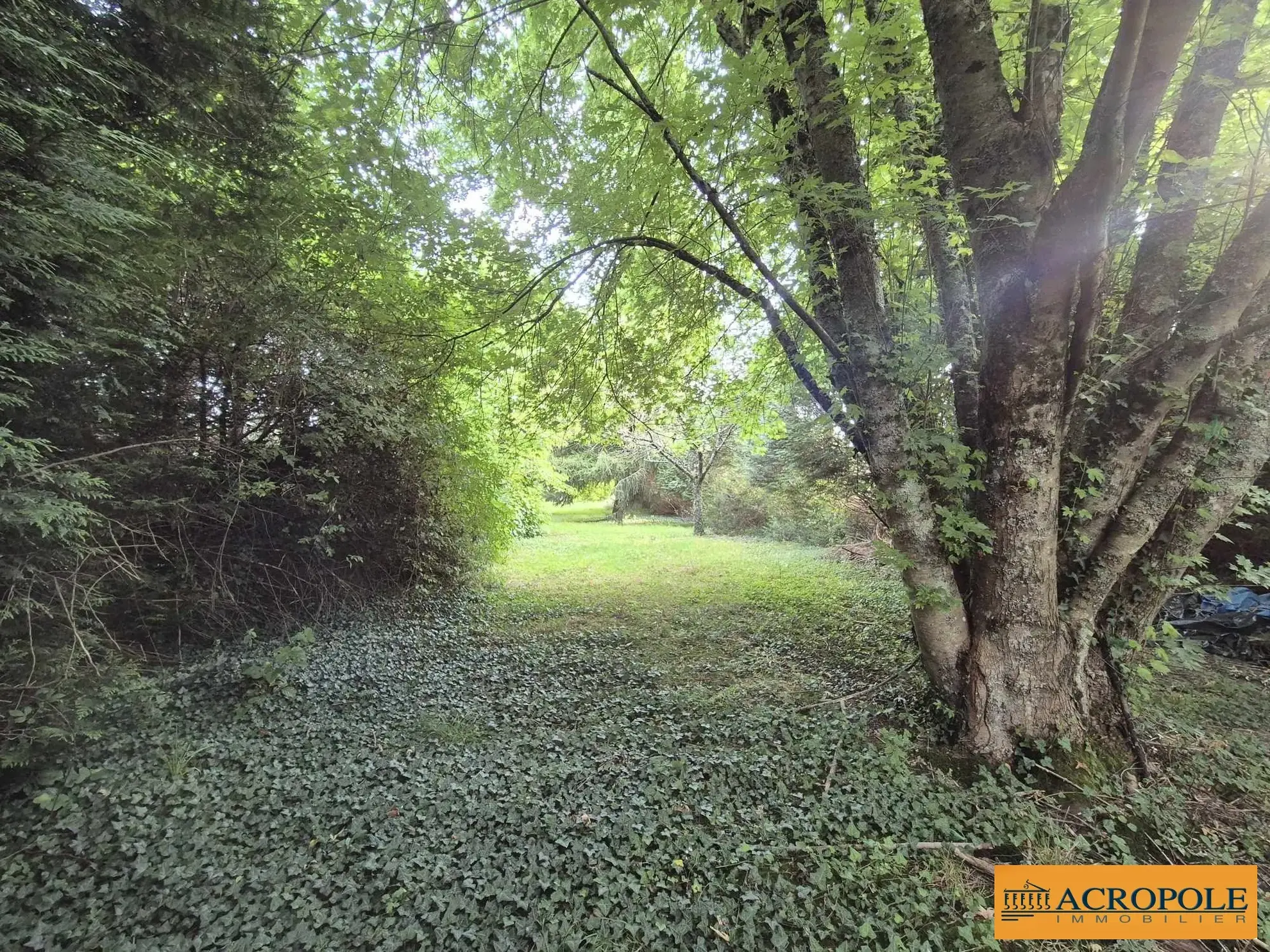 Charmante maison de 120 m² à Oizon avec grand terrain arboré 