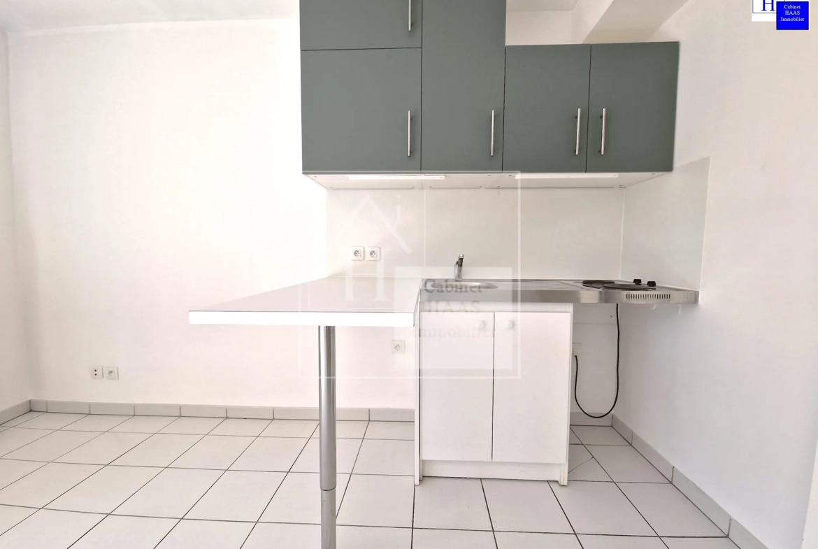Cuisine Studio lumineux avec terrasse à Créteil près du métro Pointe du Lac 