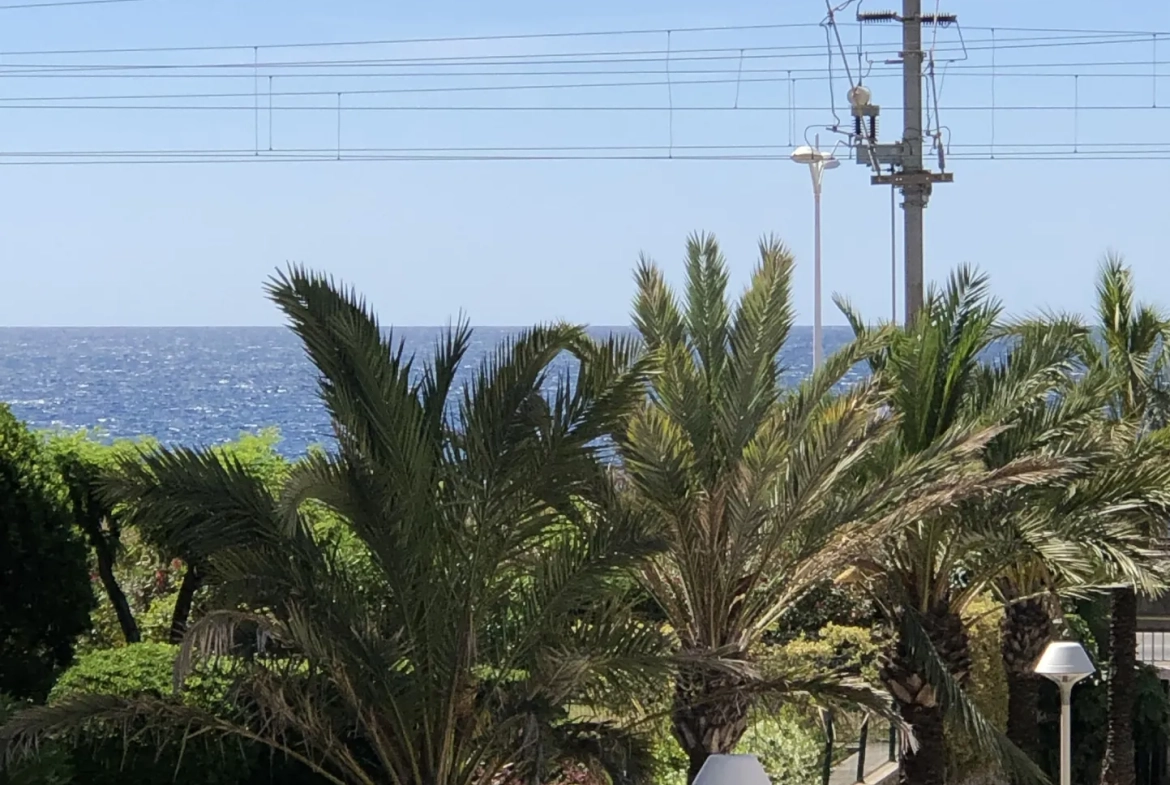Appartement T3 lumineux avec vue mer à Cannes proche des plages 