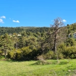 Terrain constructible à vendre à Andon (06750) – Vue montagne et environnement calme