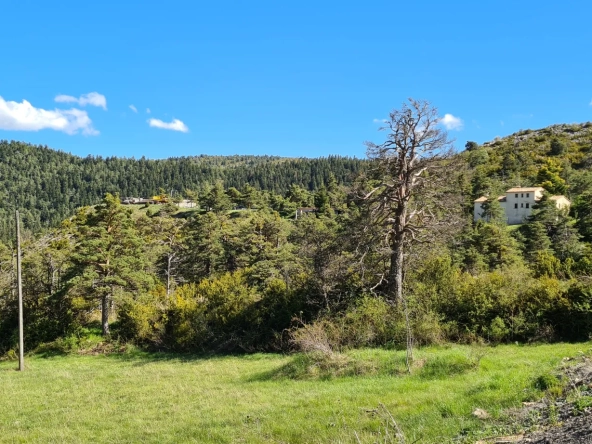 Terrain constructible à vendre à Andon (06750) – Vue montagne et environnement calme